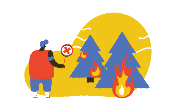 Forest on fire